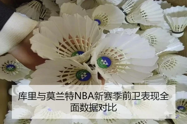 库里与莫兰特NBA新赛季前卫表现全面数据对比